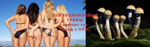 винт Куйбышев