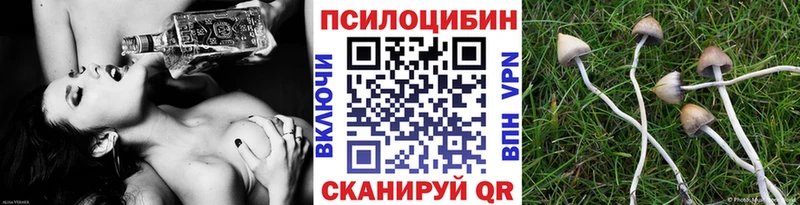 Псилоцибиновые грибы Cubensis  Купить где  Нижний Тагил 